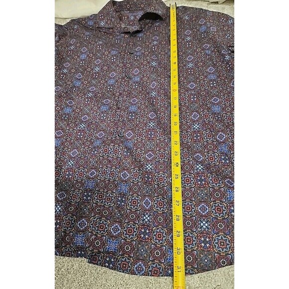 Tasso - Picture 7 of 9